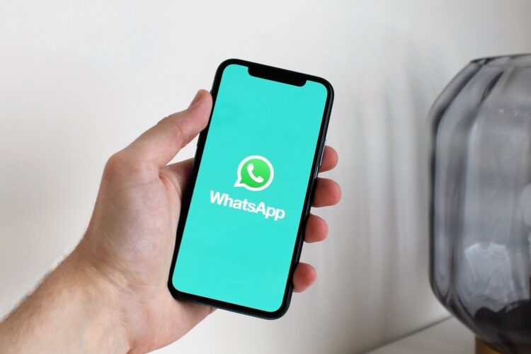 whatsapp marketing